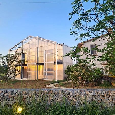 Anonima Agricola Villa ออร์เบเตลโล ภายนอก รูปภาพ