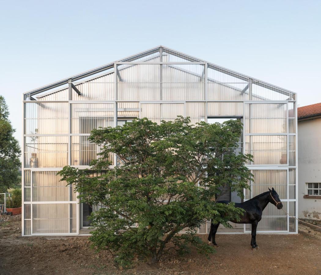 Anonima Agricola Villa ออร์เบเตลโล ภายนอก รูปภาพ